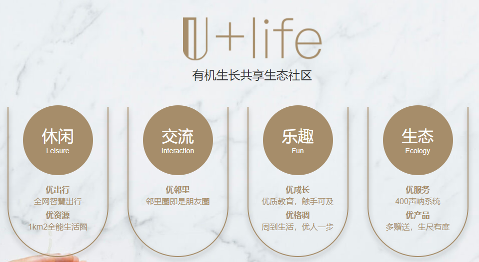 金辉控股业务布局